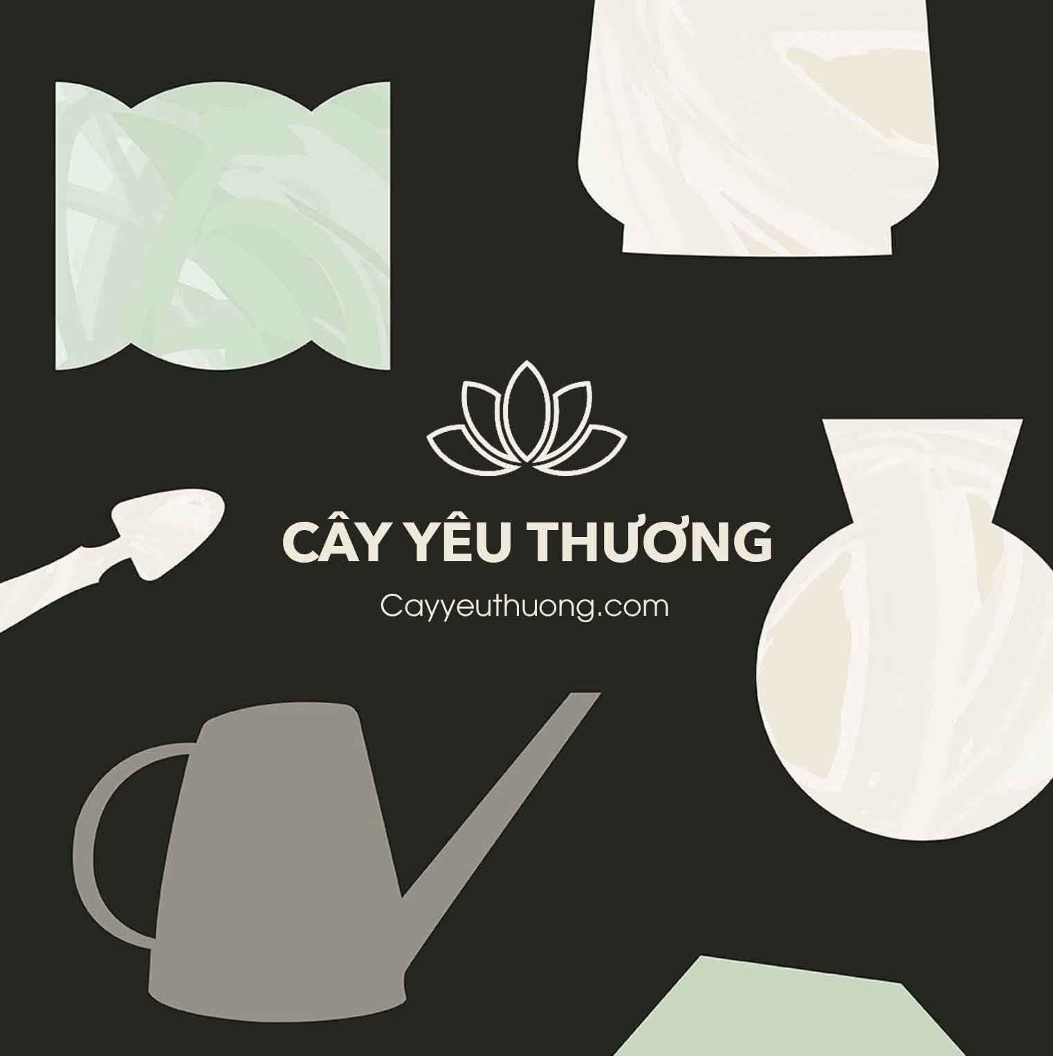 cayyeuthuong.com